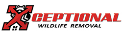 Zephyrhills Wildlife Removal